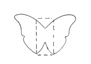 Butterfly - 1611
